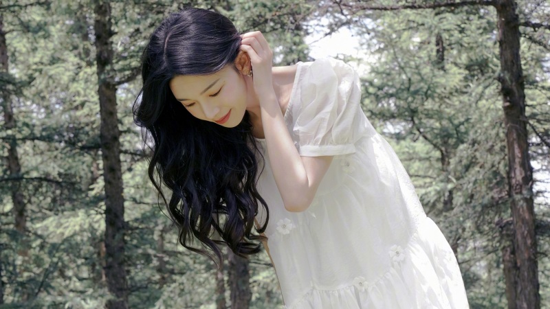 原神魈怎么配队 魈配队阵容推荐